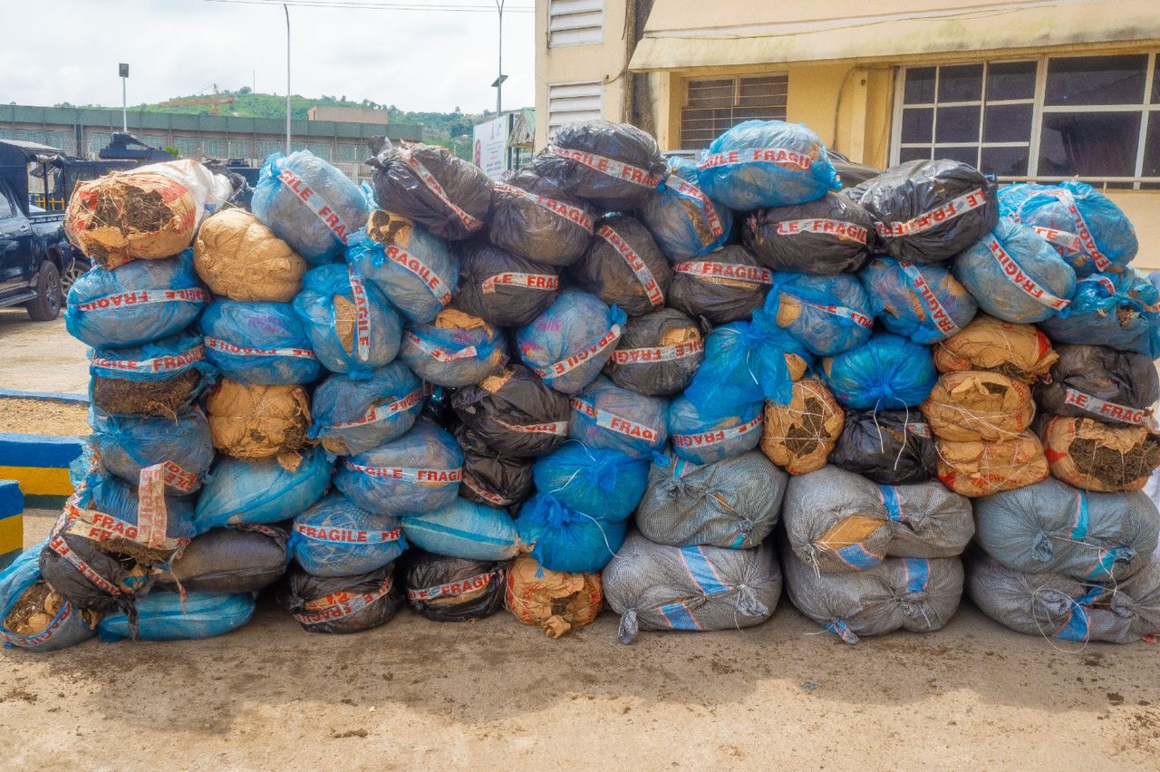FCT Police Arrest 11 Suspected Drug Dealers, Recover 68 Bags of Cannabis